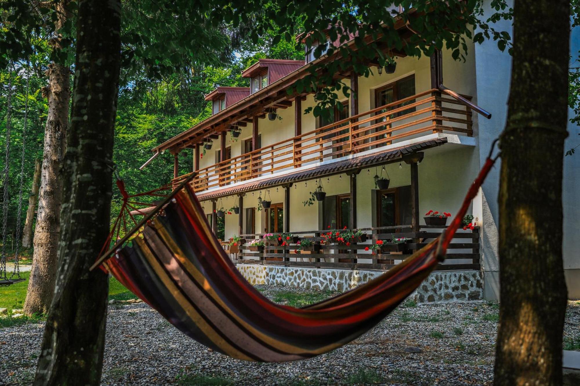 Pensiunea Vinatur Porumbacu de Sus Ngoại thất bức ảnh
